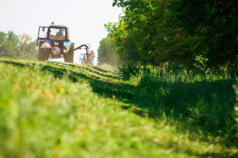 Brush Clearing Service in Katy, TX
